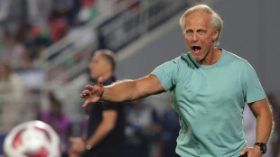 Myanmar names Norwegian Andersen as head of national team
