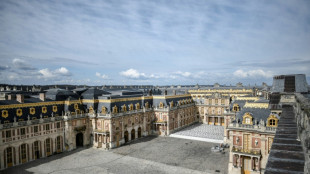 Una muestra en Par&iacute;s explora la vida del "Gran Delf&iacute;n", padre sin corona del rey Felipe V de Espa&ntilde;a