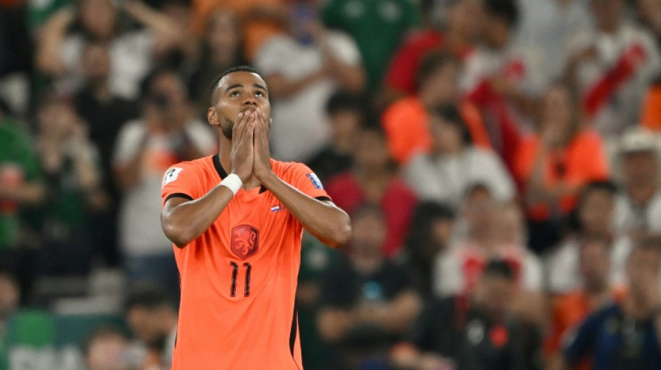 Dutch football chiefs condemn online racism after World Cup exit