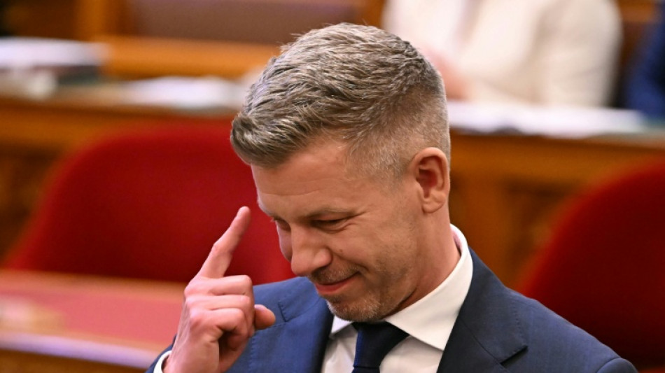 Magyar sworn in as Hungary's 'regime change' PM