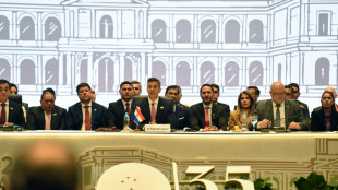 Le Mercosur affiche ses divergences apr&egrave;s l'accord commercial conclu avec l'UE