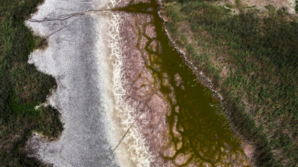 Climate change, mismanagement dry up beloved Hungarian lake