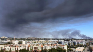 Etats-Unis: Los Angeles en &eacute;tat d'urgence pour l'incendie d'un entrep&ocirc;t