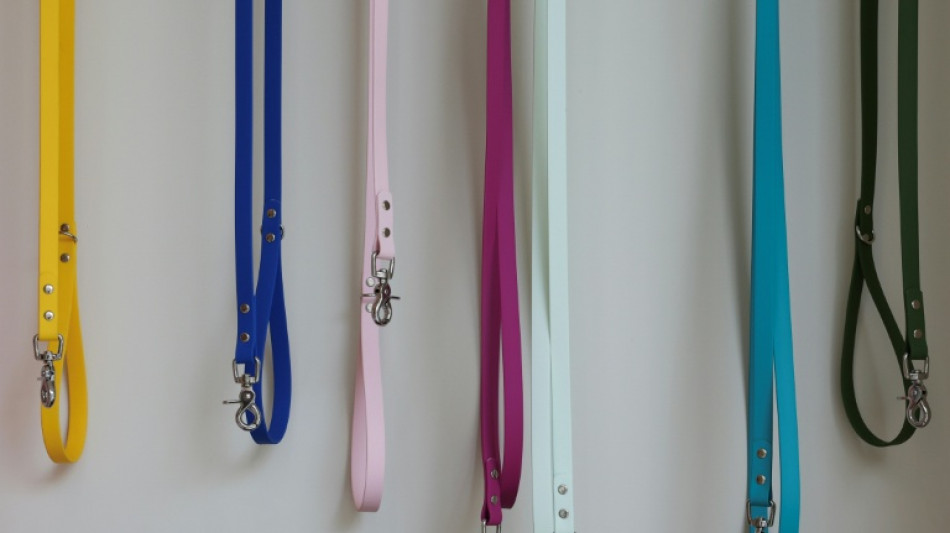 Nach Beißvorfall nahe Trier: Halter von gefährlichem Hund muss Tier abgeben