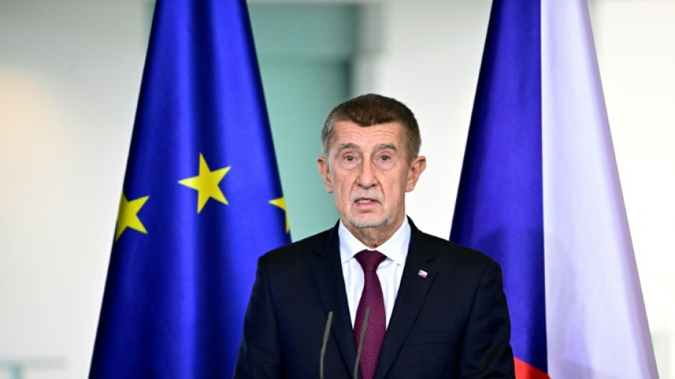 Homme d'affaires ou politicien ? Le Premier ministre tch&egrave;que face aux critiques