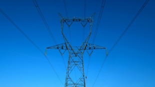 Electricit&eacute;: RTE maintient sa "vigilance" sur la fin de l'hiver