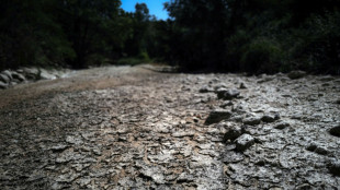 Records de chaleur battus, la canicule se d&eacute;place vers l'est 