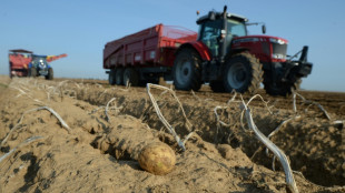 St&auml;rkster R&uuml;ckgang der Gro&szlig;handelspreise seit dreieinhalb Jahren 