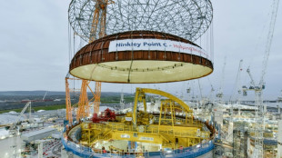 UK to quicken rollout of mini-nuclear reactors