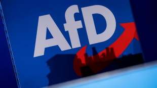 Gr&uuml;ne beharren weiter auf Verbotsverfahren gegen die AfD