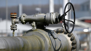 La reducci&oacute;n de las entregas de gas ruso confirma que Europa debe independizarse de Mosc&uacute; (UE)