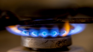 Il prezzo del gas apre in rialzo a 31,64 euro
