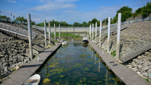 Barcas varadas y pescadores sin trabajo en un Danubio bajo m&iacute;nimos por la sequ&iacute;a