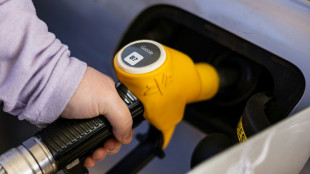 Le gazole et le SP95-E10 &agrave; moins de 1,90 euro le litre en France