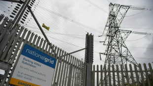 UK electricity grid set for 'unprecedented' &pound;35 bn investment