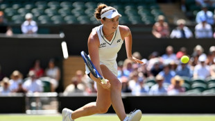 Noskova reaches first Wimbledon semi-final