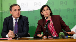 Boccia (Pd), c'è un fronte che vale come il centrodestra