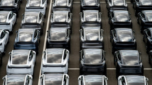 Sindicato sueco encerra greve na Tesla ap&oacute;s quase tr&ecirc;s anos