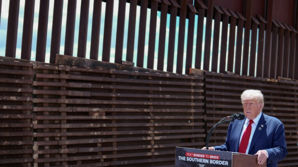 Trump prev&ecirc; declarar estado de emerg&ecirc;ncia e utilizar ex&eacute;rcito para deportar migrantes