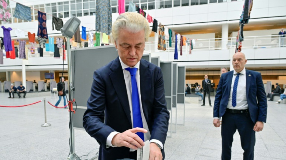 Europ&eacute;ennes: les Irlandais aux urnes, gains de l'extr&ecirc;me droite n&eacute;erlandaise