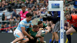 L'Afrique du Sud remporte le Rugby Championship pour la deuxi&egrave;me ann&eacute;e cons&eacute;cutive