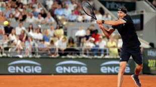 Top remaining men's seed Zverev wobbles but beats Halys
