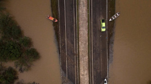 Strengthening El Nino likely to 'rank among largest' on record: US agency