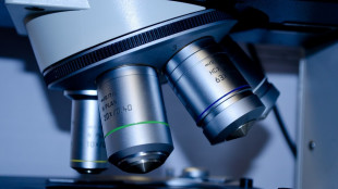 Le neurotossine botuliniche possono favorire infezioni intestinali