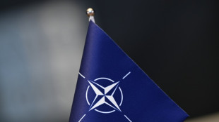 From Cold War to the Ukraine war: NATO at 75