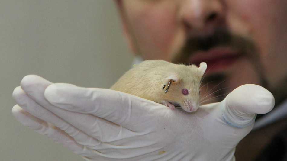 Se si dorme male in un letto nuovo, il segreto &egrave; in un gruppo di neuroni