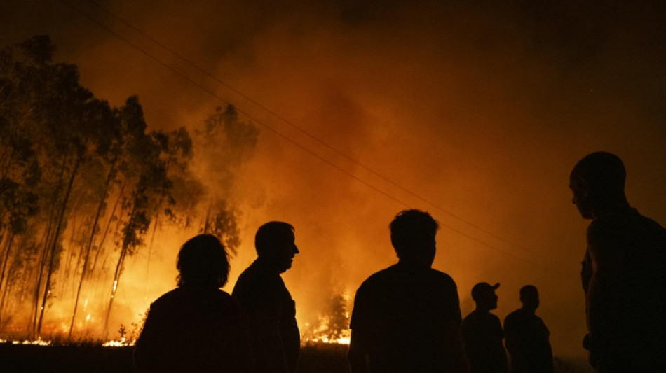 La plupart des incendies ma&icirc;tris&eacute;s au Portugal