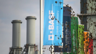 En Allemagne, le bastion chimique de Ludwigshafen face au d&eacute;clin industriel