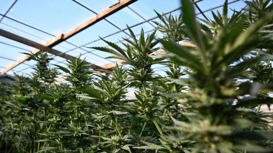 Cannabisplantage in Schwimmbecken entdeckt: F&uuml;nf Festnahmen in K&ouml;ln