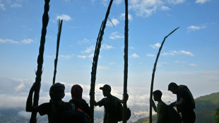 Venezuela: la tradition des "palmeros" descendant des rameaux de la montagne