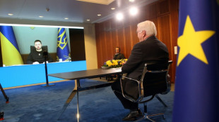 Steinmeier sichert Selenskyj umfassende Unterst&uuml;tzung Deutschlands zu