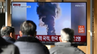 Flugzeug mit 181 Menschen an Bord st&uuml;rzt in S&uuml;dkorea ab - Mindestens 62 Tote