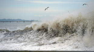 Swiss researchers hoard vast trove of NASA climate data