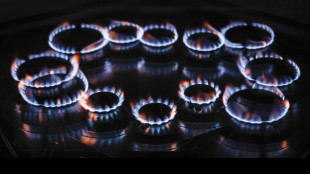 Il gas chiude in forte calo a 39,2 euro al Ttf di Amsterdam