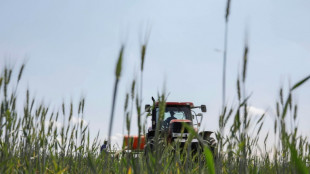 Einkommen von Landwirten steigen deutlich - &Ouml;zdemir will weniger B&uuml;rokratie