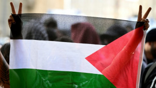 Teilnehmer von Pal&auml;stinenser-Demonstration in Berlin wegen K&ouml;rperverletzung verurteilt