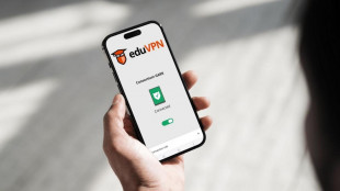 Una nuova Vpn per università e ricerca, 'connessioni sicure'