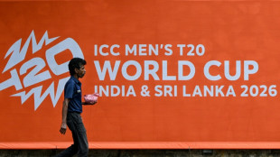 Pakistan will seek govt nod in potential India T20 finals clash