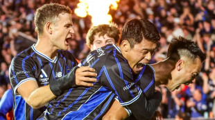 Auckland FC become first New Zealand team to win A-League title