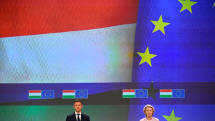 L'UE va d&eacute;bloquer 16 milliards d'euros pour la Hongrie, gel&eacute;s sous Orban