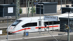 German rail regulator backs Italian firm in competition spat