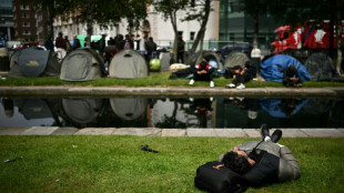 Ireland looks to curb migration, population growth