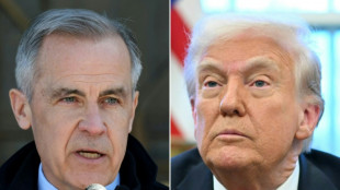 Kanadas Premier droht Trump mit Gegenzöllen ab dem 2. April