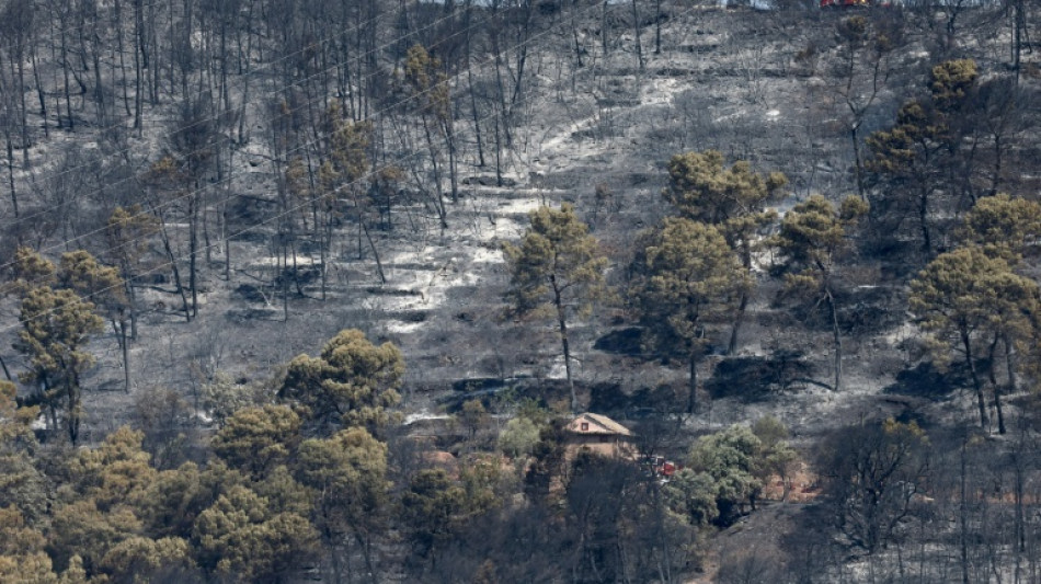 Incendies: "Un peu moins de 40.000 hectares" br&ucirc;l&eacute;s en France et 111 interpellations, annonce Nu&ntilde;ez