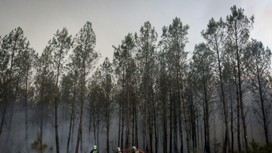Incendies en Gironde: "accalmie provisoire", la chaleur menace