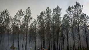 Incendies en Gironde: "accalmie provisoire", la chaleur menace